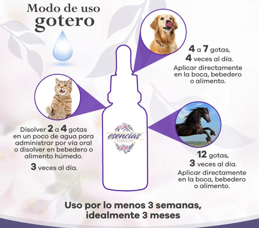 Esencia floral Armonizar Gotas 30 ml