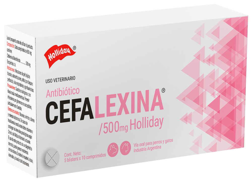Cefalexina Holliday 500Mg Blister X 10Tabl