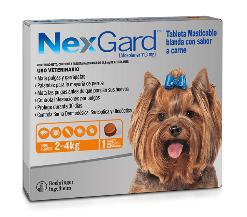 Nexgard - 2-4 Kg