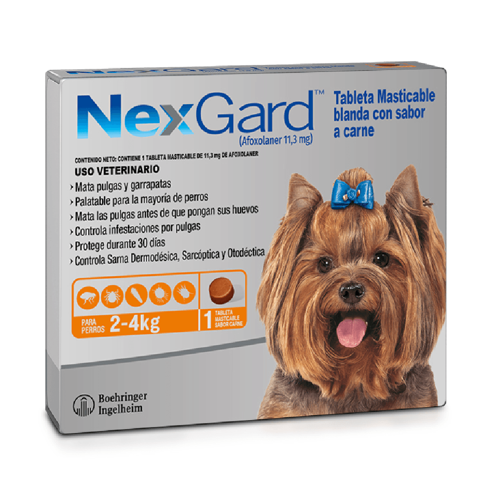 Nexgard - 2-4 Kg