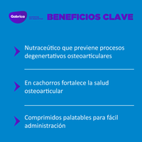 Suplemento Ol Trans Flex para Perros 70 Comprimidos