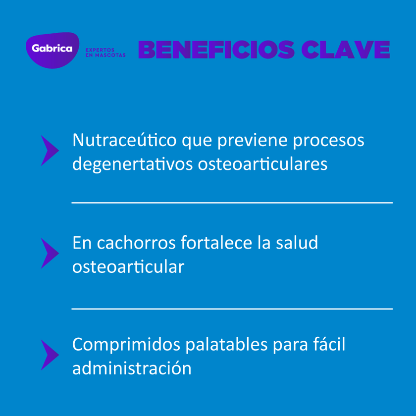 Suplemento Ol Trans Flex para Perros 70 Comprimidos