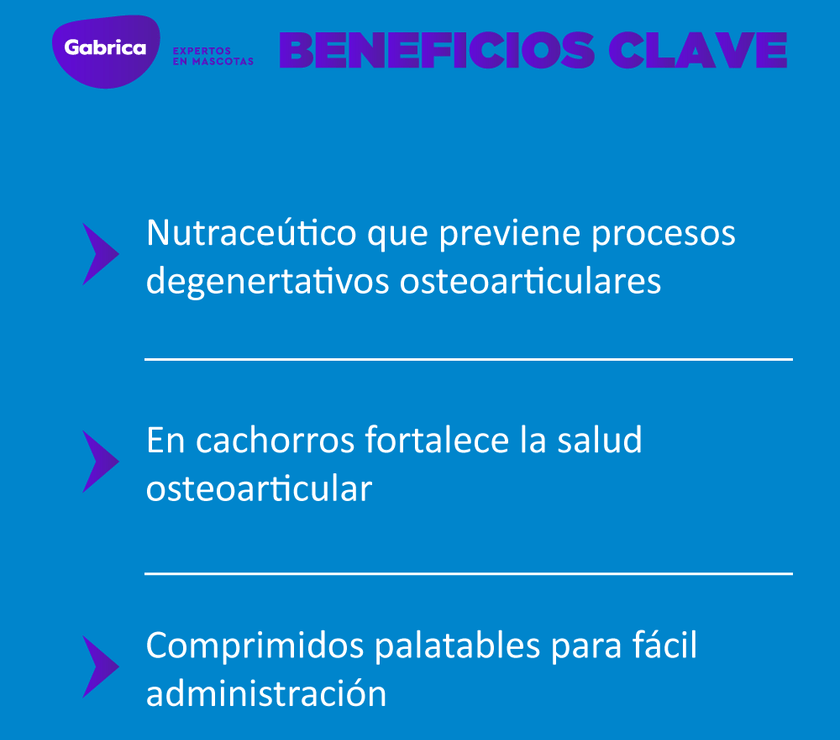 Suplemento Ol Trans Flex para Perros 70 Comprimidos