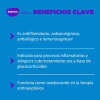 Prednisolona Antiinflamatorio 20mg 10 Tabletas