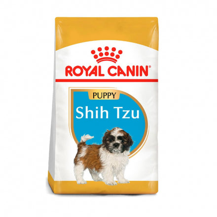 Rc Shih Tzu Puppy x 1,5 Kg