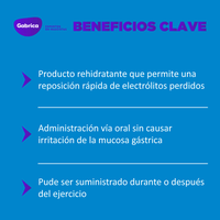 Rehidratante Electrolitico pet 10G