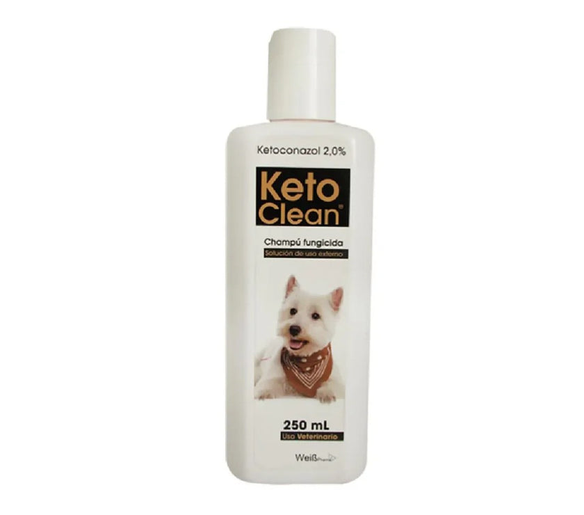 Hycomp 250 Computer Shampoo ketoclean 250 ml