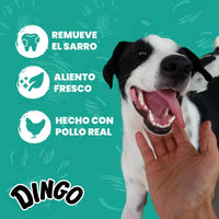 Snacks Para Perro Dingo Dental Stick