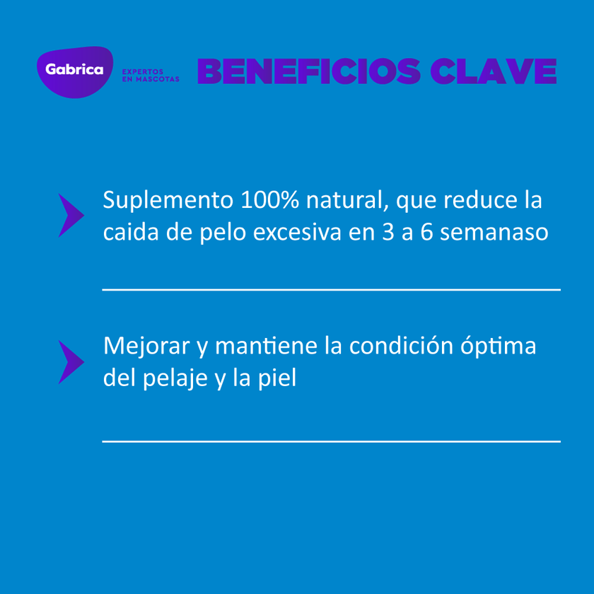 Suplemento shed-x dermaplex Perro 16oz
