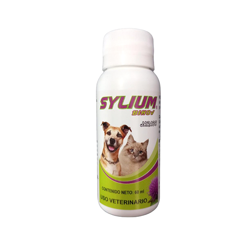 Sylium Jarabe Frasco 60 Ml