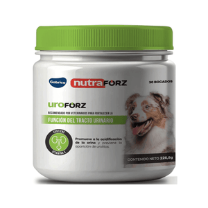 Suplemento para perro Uroforz Función del Tracto Urinario