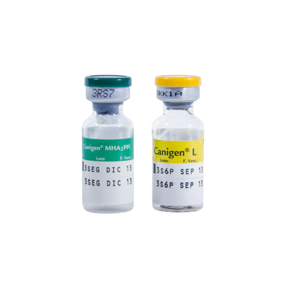 Vacuna canigen 2PPi/L quíntuple canina - Nobivac