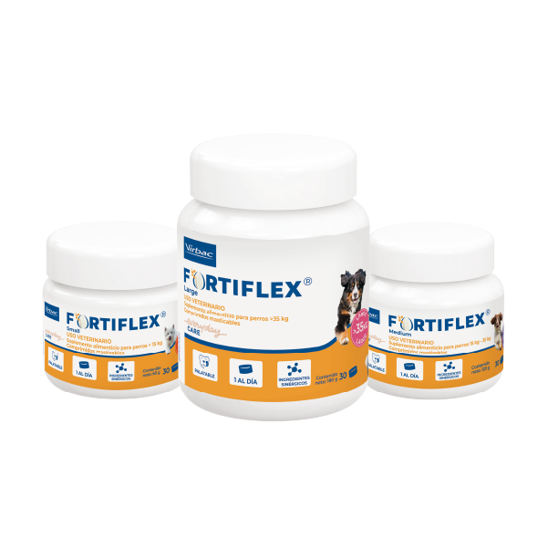 FORTIFLEX  x 30 COMP
