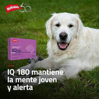 Biomodulador IQ 180 para Perros y Gatos 21 comprimidos