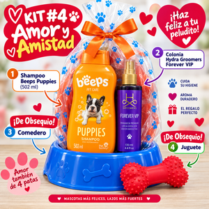 Kit #4 Amor y Amistad