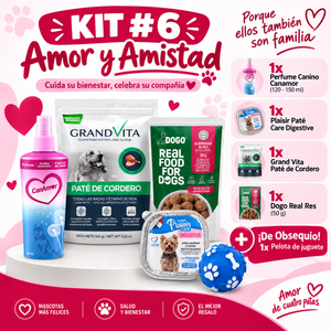Kit 6 Amor y Amistad