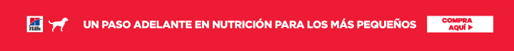 Top banner bienvenida Primera Compra Marcas Sponsor Small Paws
