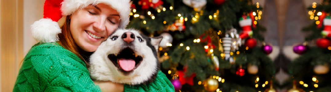 5 Consejos para Cuidar mascotas en Navidad, La Holanda